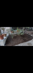 Photo de galerie - Paysagiste - Aménagement du jardin