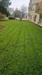 Photo de galerie - Tonte de pelouse 