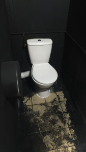Photo de galerie - Changement de toilette avec l'installation