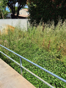 Photo de galerie - Avant 