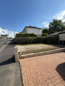 Photo de galerie - Remise en état d’une haie 