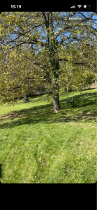 Photo de galerie - .