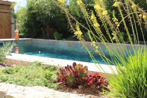 Photo de galerie - Végétalisation de ces abords de piscine - toujours dans une démarche de jardin résistant au sec. Pour la palette végétale, la trame principale est composée de succulentes complètement faites pour s’épanouir au soleil et au sec, simples d’entretien. 