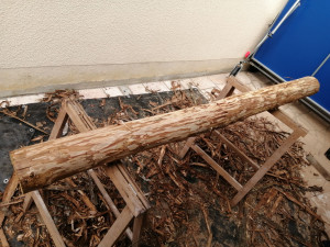 Photo de galerie - Paysagiste - Aménagement du jardin