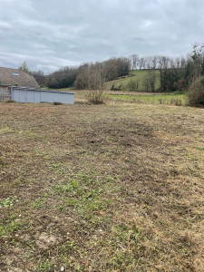 Photo de galerie - Débroussaillage terrain à bâtir