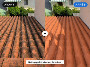 Photo de galerie - Nettoyage & traitement de toiture