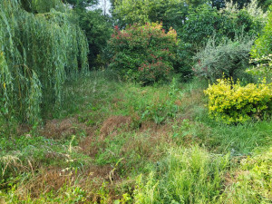 Photo de galerie - Jardinier