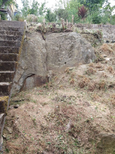 Photo de galerie - Tonte de pelouse - Débroussaillage
