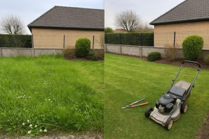 Photo de galerie - Tonte de pelouse - Débroussaillage