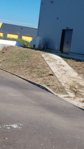 Photo de galerie - Tonte de pelouse - Débroussaillage