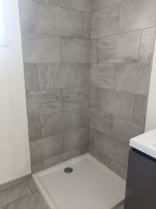 Photo de galerie - Faience de douche.