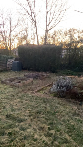 Photo de galerie - Taille après 