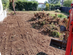 Photo de galerie - Arrachage de souche de Bambou 