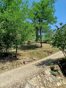 Photo de galerie - Remise en état du jardin 
