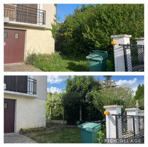 Photo de galerie - Taille 