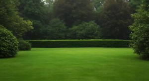 Photo de galerie - Tonte de pelouse ,tailler une haie
