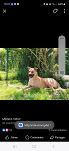 Photo de galerie - Topie que j'ai eu également en garde ?