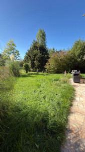 Photo de galerie - Remise en état du jardin avec tonte et débroussaillage, pour retrouver un espace propre et soigné.