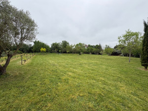 Photo de galerie - Tonte