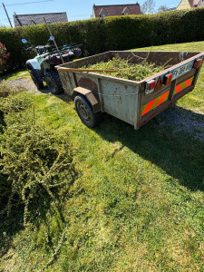 Photo de galerie - Taille et ramassage de déchets verts