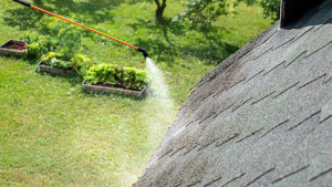 Photo de galerie - Traitement de toiture