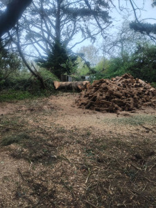 Photo de galerie - Apres