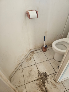 Photo de galerie - Ménage