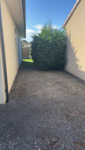 Photo de galerie - Taille de haies et d'arbustes