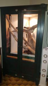 Photo de galerie - Création vivarium