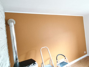 Photo de galerie - Rénovation murs intérieurs+ peinture 