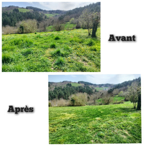 Photo de galerie - Première tonte pour se jardin de 500 mètres carrés.