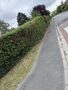 Photo de galerie - Après 