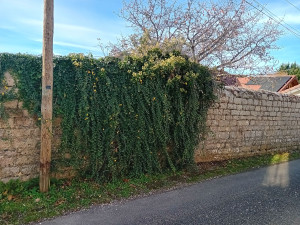 Photo de galerie - Jardinier