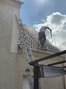 Photo de galerie - Nettoyage 