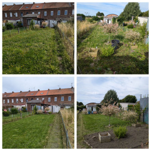 Photo de galerie - Chantier tonte, débroussaillage, déracinement de deux rosiers et création d'un potager. 
Un grand merci au client pour sa confiance et pour sa gentillesse. 