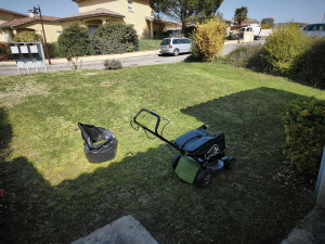 Photo de galerie - Tonte
