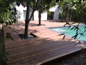 Photo de galerie - Terrasse exotique 