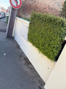 Photo de galerie - Peinture - Tapisserie