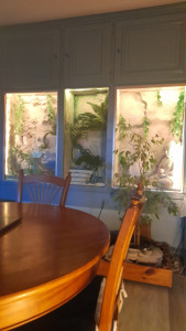 Photo de galerie - Artisan d'art