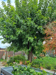 Photo de galerie - Avant 