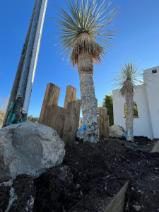 Photo de galerie - Paysagiste - Aménagement du jardin