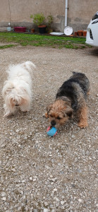 Photo de galerie - Garde