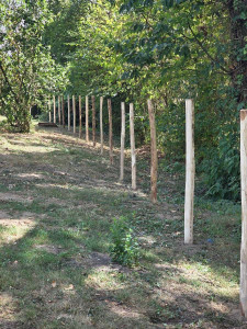 Photo de galerie - Bricolage et multi services