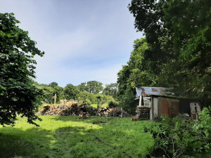 Photo de galerie - Après les travaux