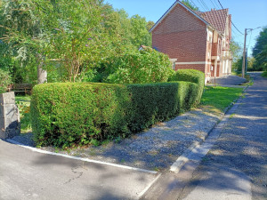 Photo de galerie - Taille de haies et d'arbustes