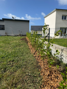 Photo de galerie - Plantation de haie 