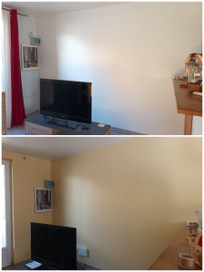 Photo de galerie - Peinture - Tapisserie