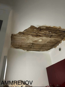 Photo de galerie - Penture 