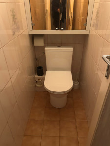 Photo de galerie - Changement d’un toilette vétuste