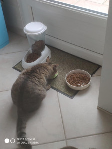 Photo de galerie - Le colocataire de Bulle